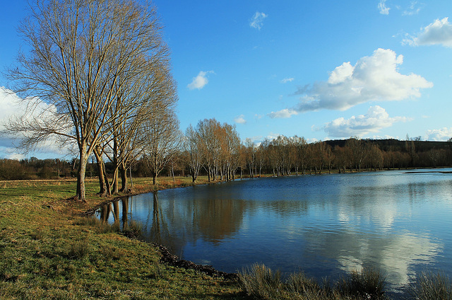 DES NUAGES ****