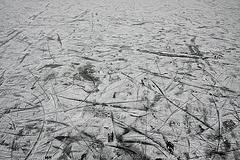 Spuren auf dem Eis
