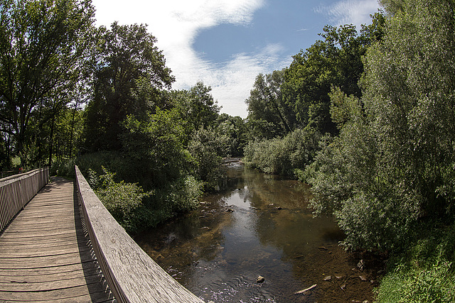 20140703 3778VRFw [D~LIP] Werre, UWZ - Umweltzentrum, Bad Salzuflen-3778