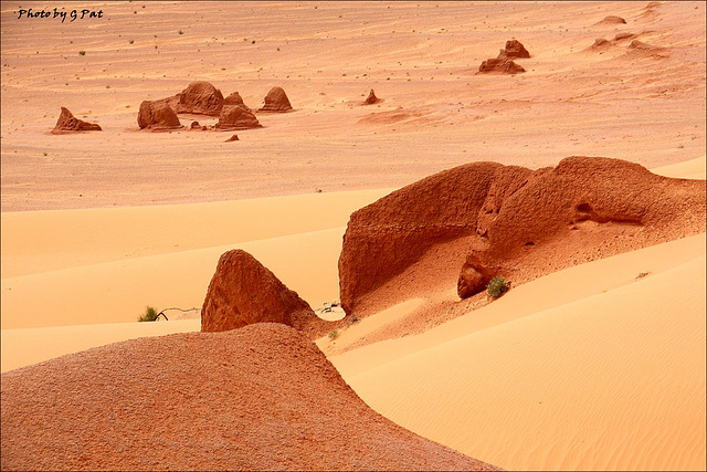 Relief in the sand