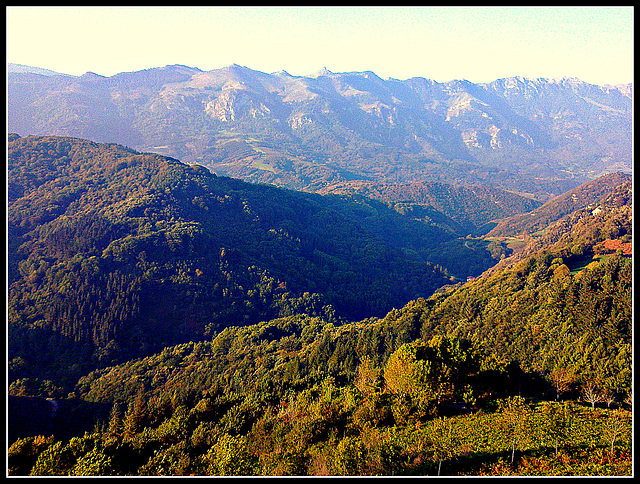 Navarra: sierra de Aralar.