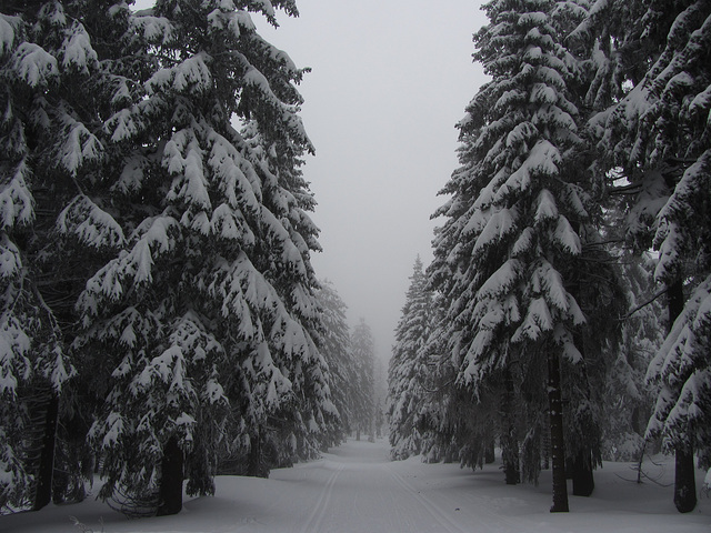 verschneit und vernebelt