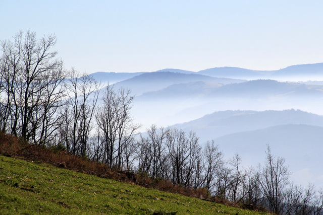 Horizons des Monts du Beaujolais