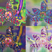 Phalaenopsis montage