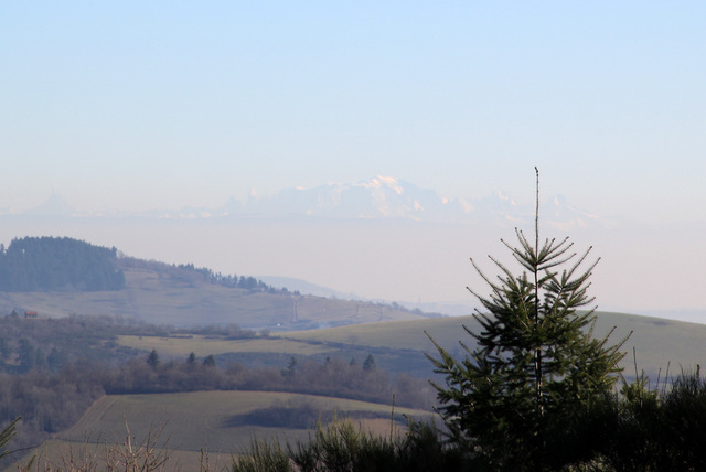 Dans le Beaujolais - Le Mont Blanc au loin