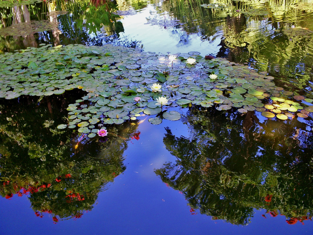 Jardín de Majorelle