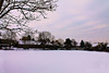 L'ETANG GELE