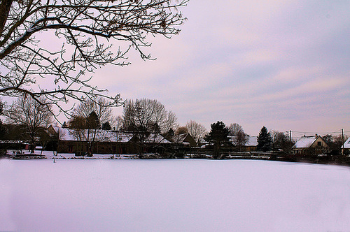 L'ETANG GELE