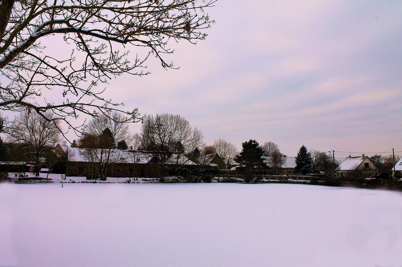 L'ETANG GELE