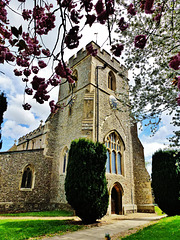 kings langley church , herts.