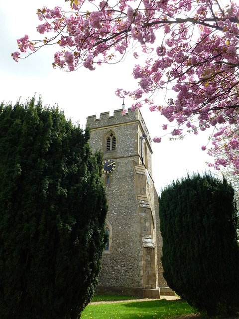 kings langley church , herts.