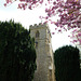 kings langley church , herts.