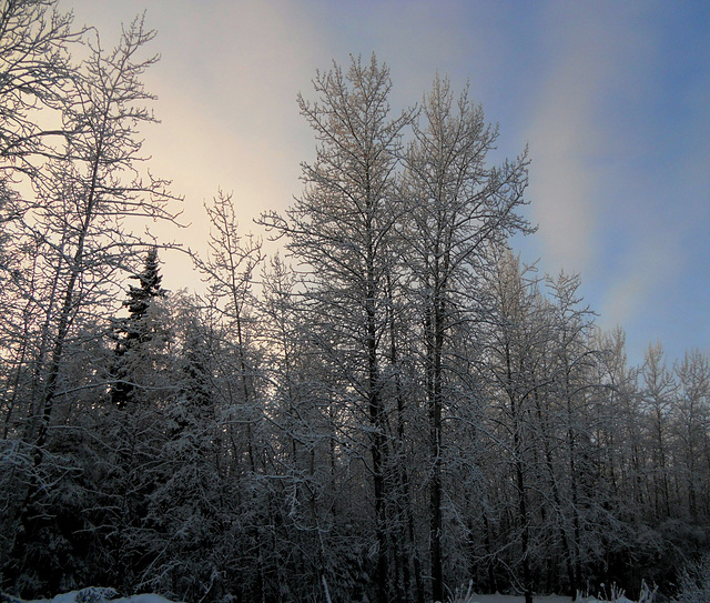 The powers of light and starkness