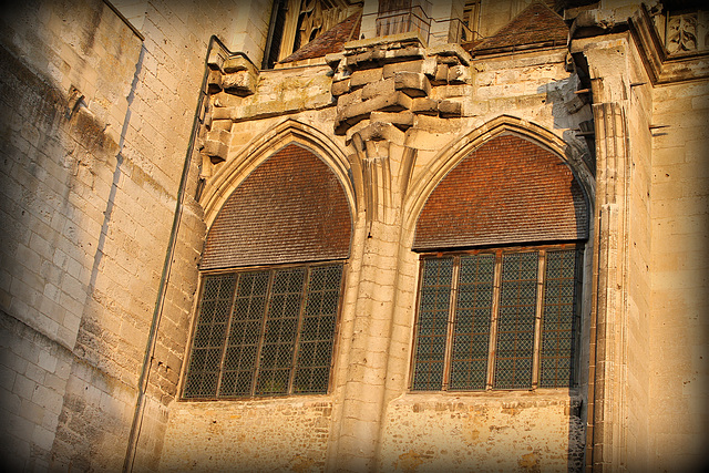 la cathédrale St Pierre****