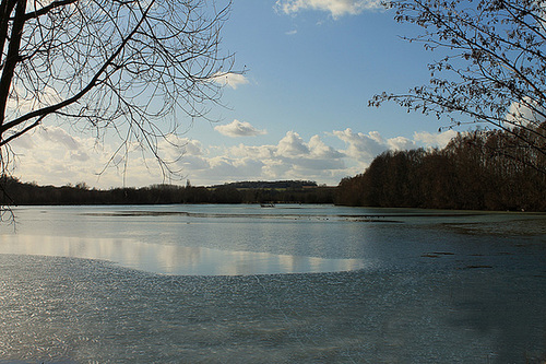 ETANG*****