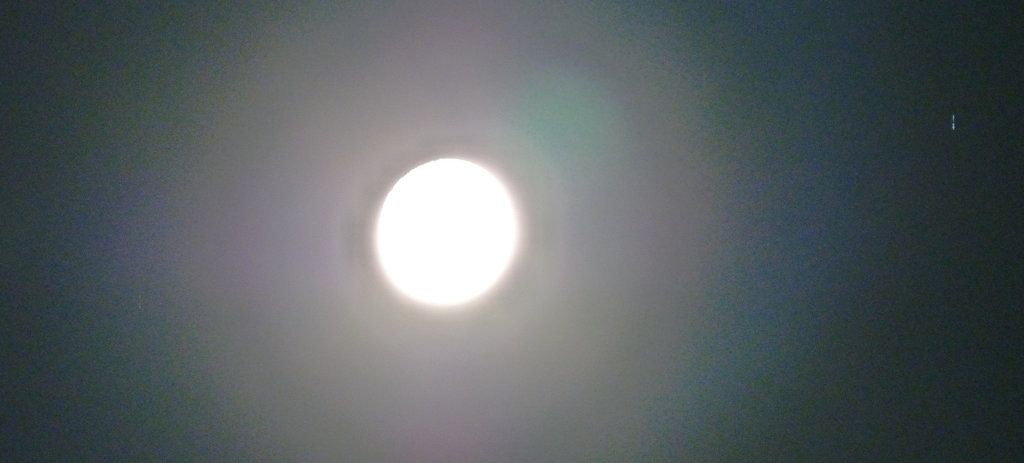 moonshine