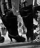 Dame Annick fait du lèche-vitrine / Lady Annick likes window-shopping -  Bottes à talons hauts en N & B / B & W high-heeled boots