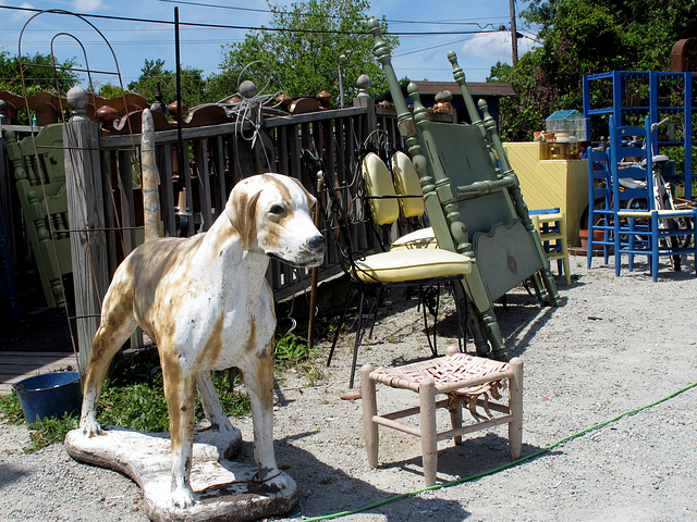 Flea Market Guard Dog