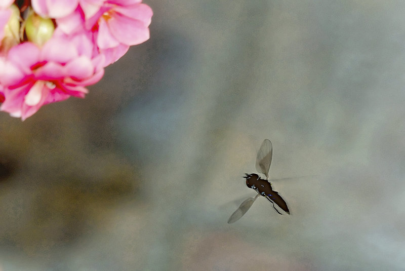 Clear to land .