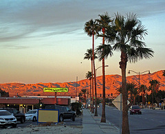 Another Miserable January Morning In Desert Hot Springs (1711)