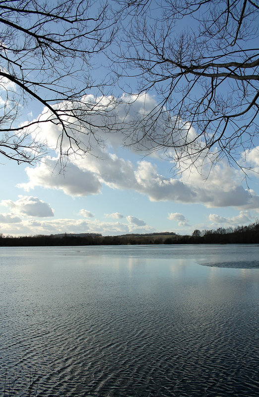 REFLETS***