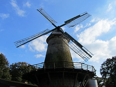 IMG 0825
