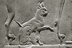 Museum of Antiquities – Wall reliefs of Merymery – Cat