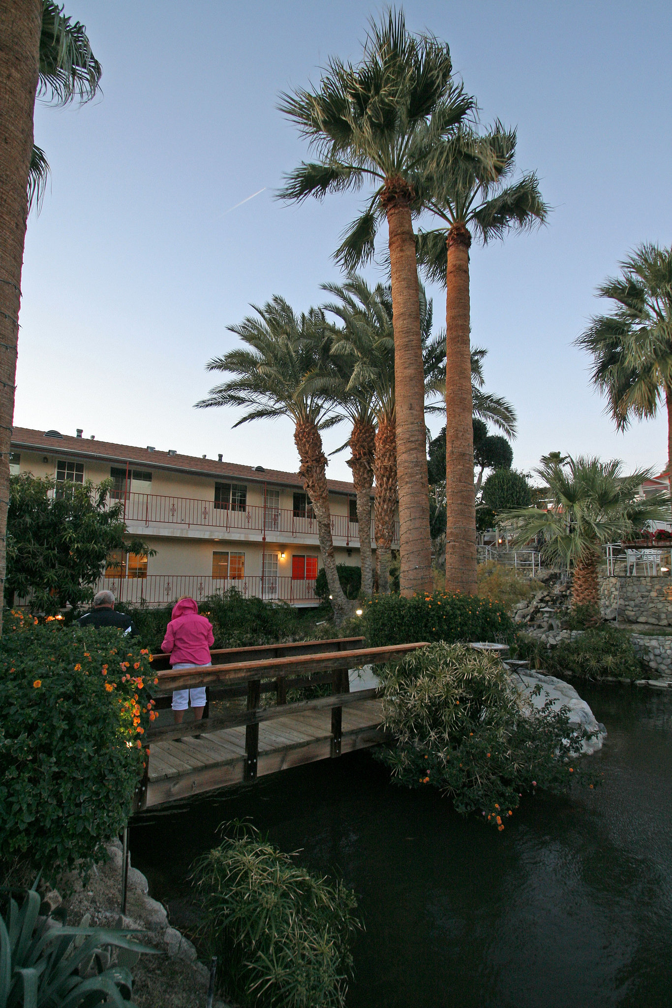 Swiss Health Resort (2613)