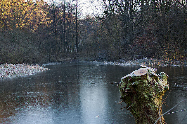 20120116 7036RAw [D~LIP] Aseteich, Bad Salzuflen