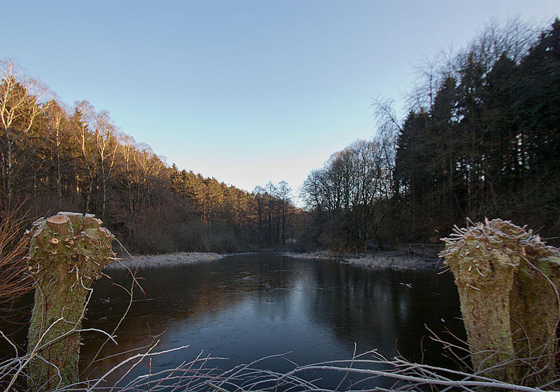 20120116 7034RWw [D~LIP] Aseteich, Bad Salzuflen