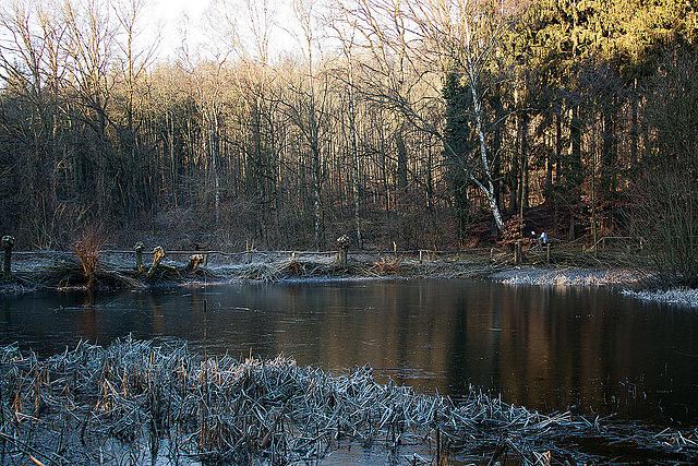 20120116 7032RAw [D~LIP] Aseteich, Bad Salzuflen