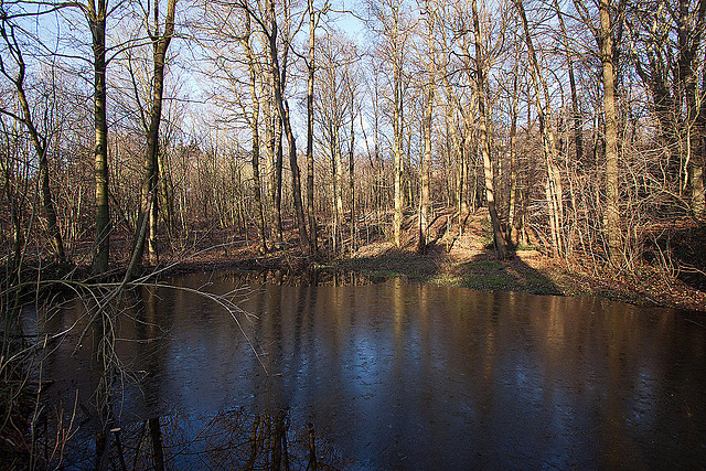 20120116 7029RWw [D~LIP] Heuwegteich, Bad Salzuflen