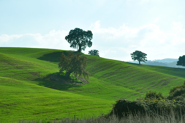 CAMPAGNE ANDALOUSE