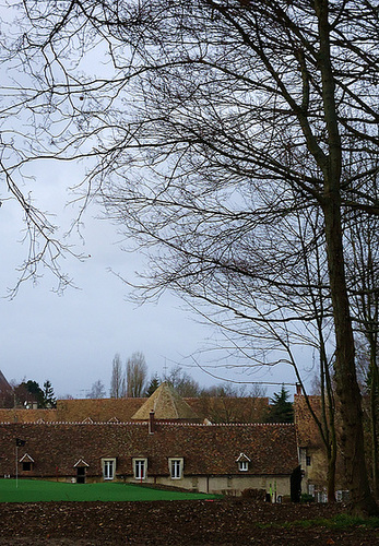 REBETZ