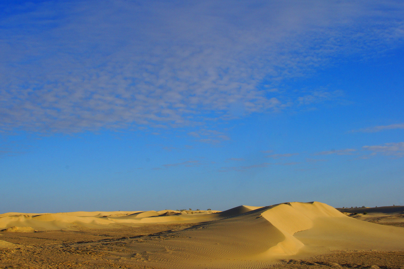 Mon pays si riche si beau ! Algeria