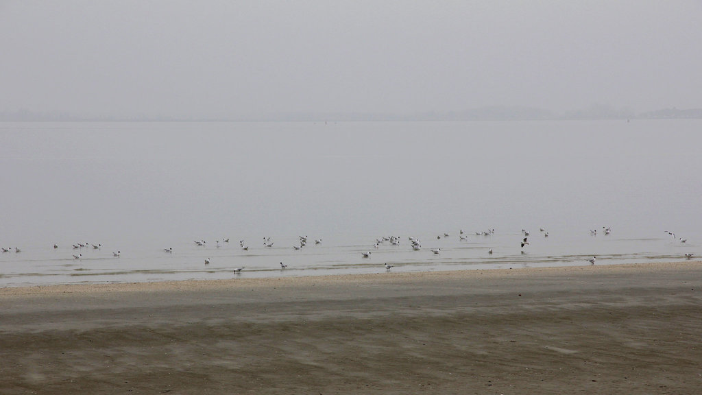 Baie de Somme