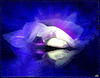 Comme un Frisson