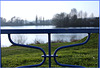 BLEU ***