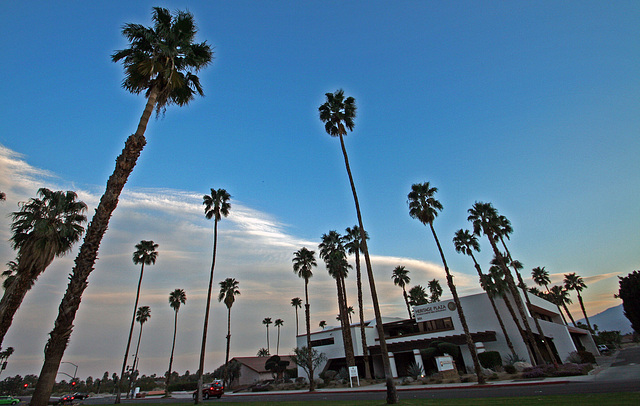 Tahquitz Canyon Way (2889)