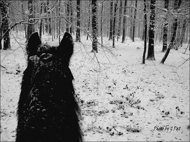 Arthur sous la neige