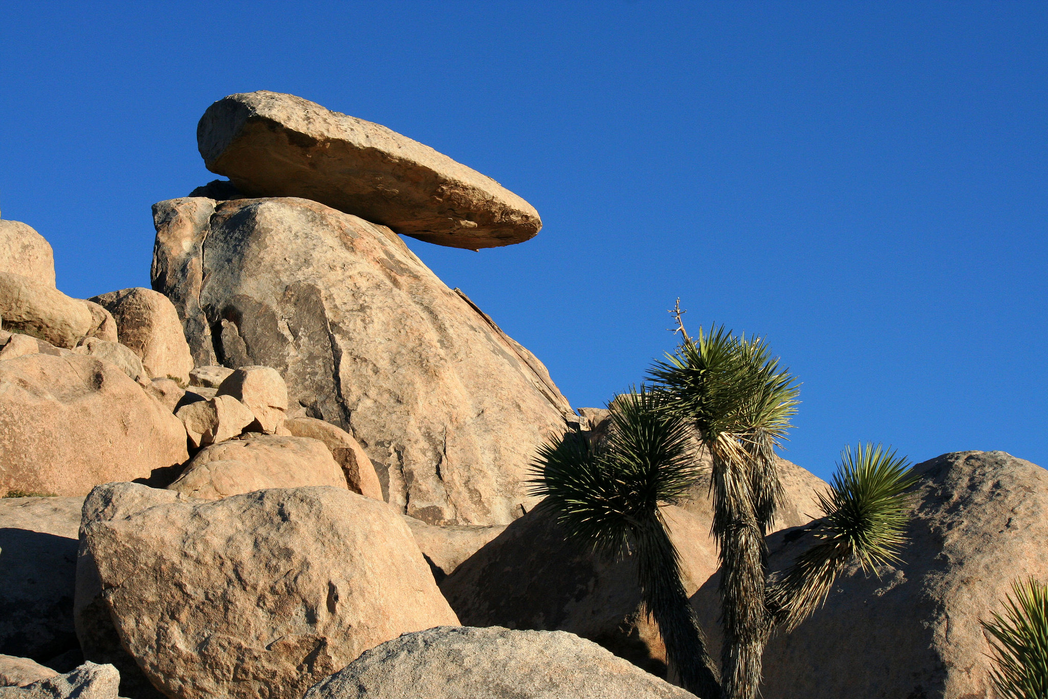 Cap Rock, What Else (2503)