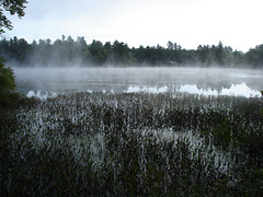 Foggy reflection /  Brume et reflets H2O.