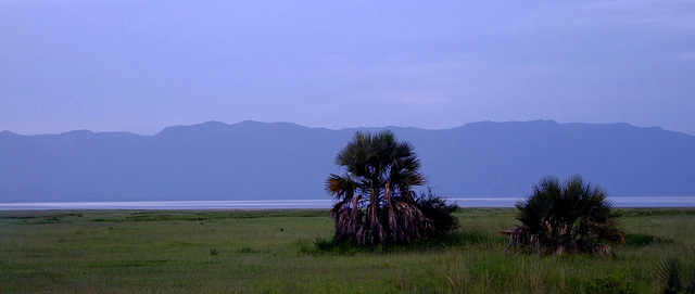 Lac Manyara