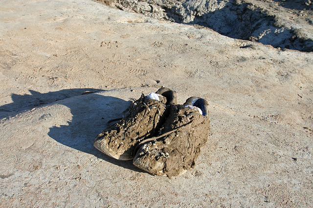 Carelessness at the Mud Volcanoes (3465)