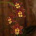 20120301 7390RAw [D~LIP] Orchidee, Bad Salzuflen: Orchideenschau