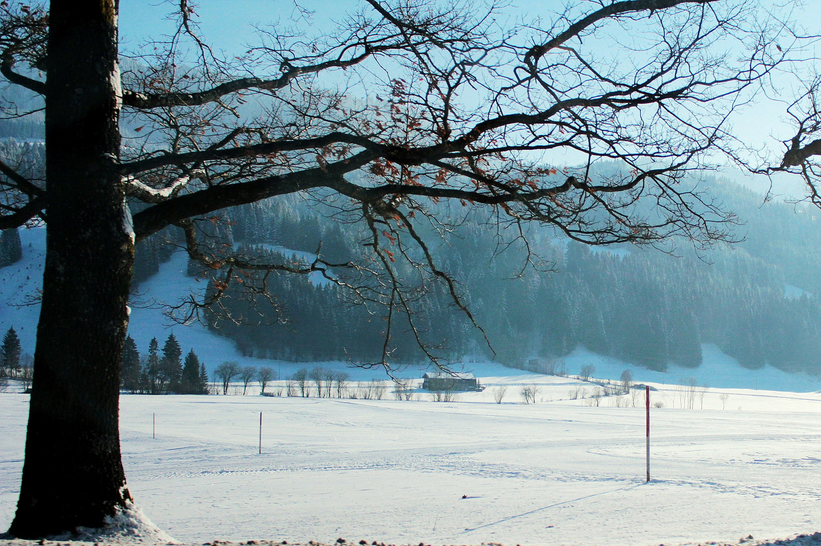 Allgäu