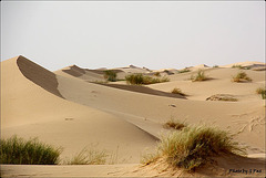 Dunes de sables