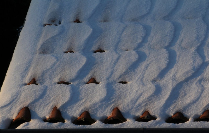 Sculptures du vent