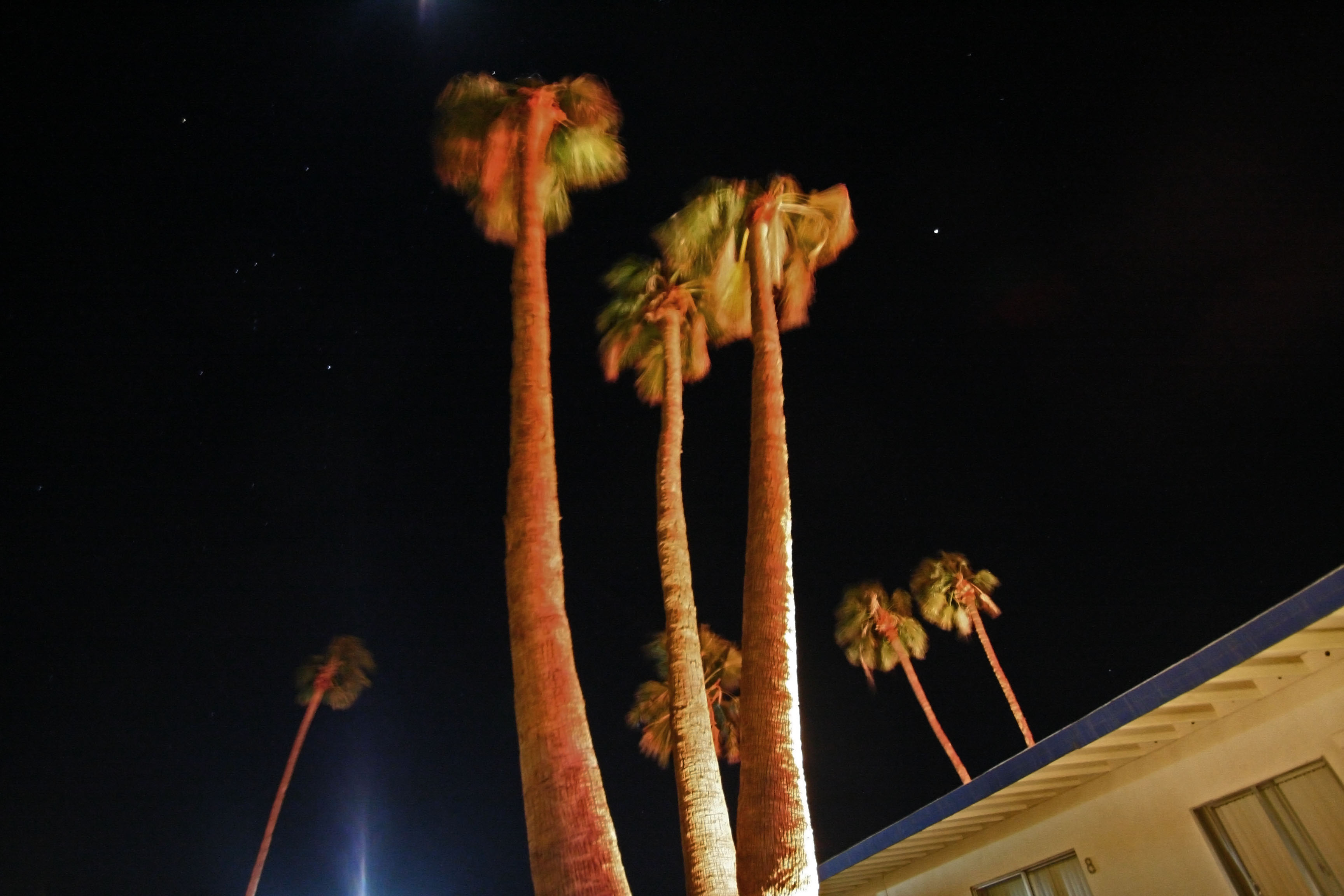 Orion over Living Waters Spa (2682)