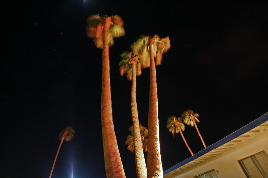 Orion over Living Waters Spa (2682)